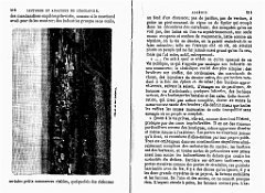 LECTURES ET ANALYSES DE GEOGRAPHIE SUR L ALGERIE (66)